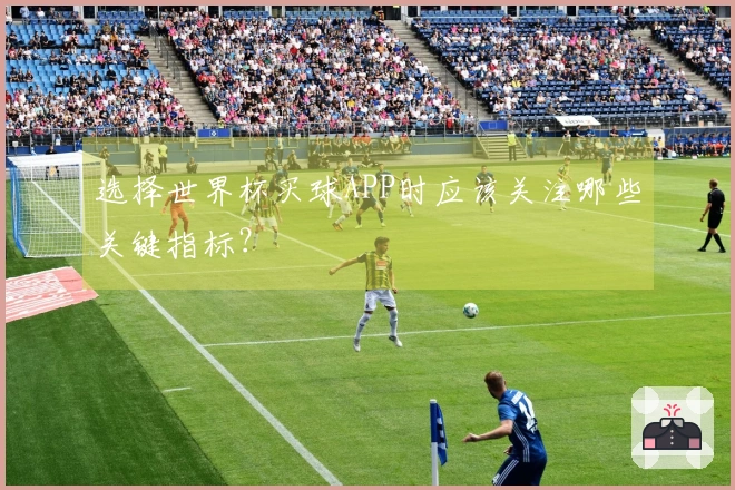 选择世界杯买球APP时应该关注哪些关键指标？
