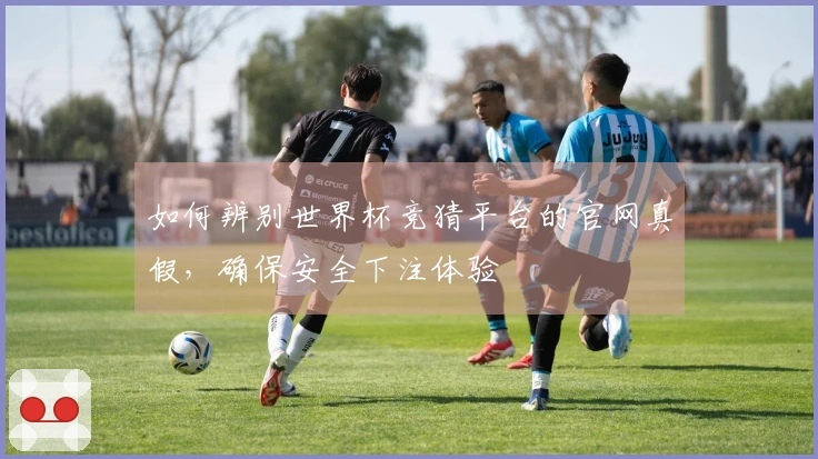 如何辨别世界杯竞猜平台的官网真假，确保安全下注体验