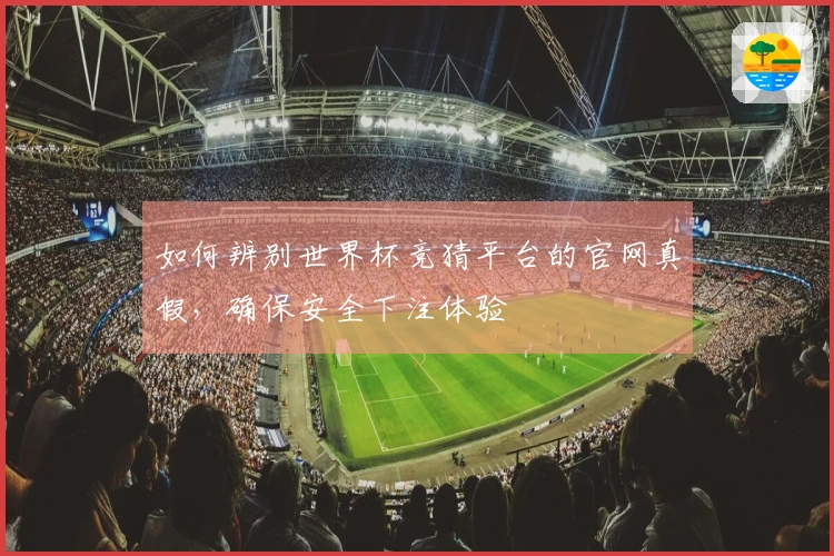 如何辨别世界杯竞猜平台的官网真假，确保安全下注体验