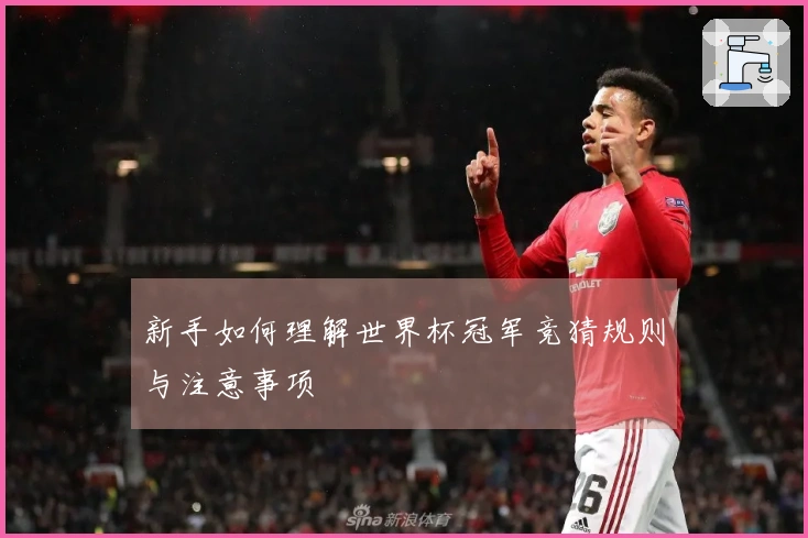 新手如何理解世界杯冠军竞猜规则与注意事项