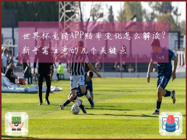 世界杯竞猜APP赔率变化怎么解读？新手需注意的几个关键点