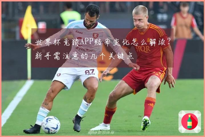 世界杯竞猜APP赔率变化怎么解读？新手需注意的几个关键点