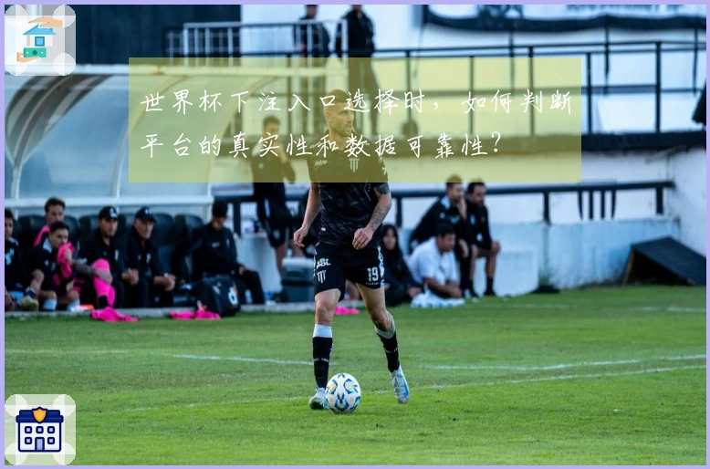 世界杯下注入口选择时,如何判断平台的真实性和数据可靠性?
