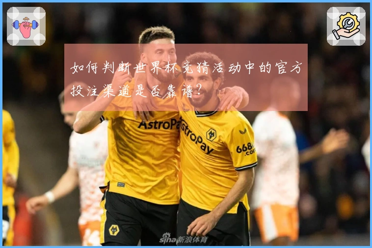 如何判断世界杯竞猜活动中的官方投注渠道是否靠谱？