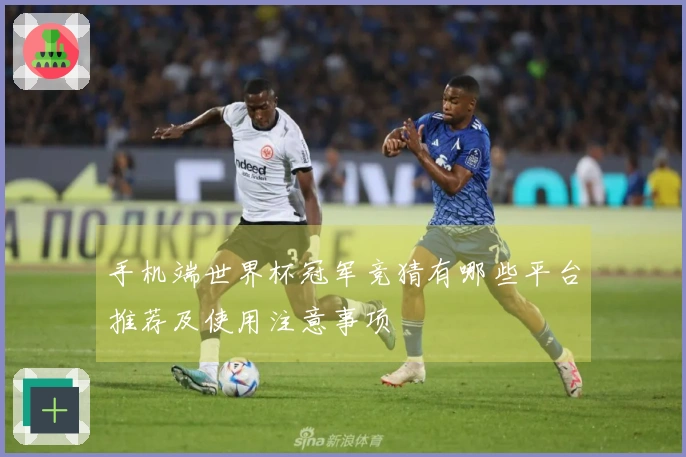 手机端世界杯冠军竞猜有哪些平台推荐及使用注意事项