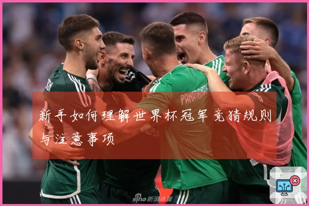 新手如何理解世界杯冠军竞猜规则与注意事项