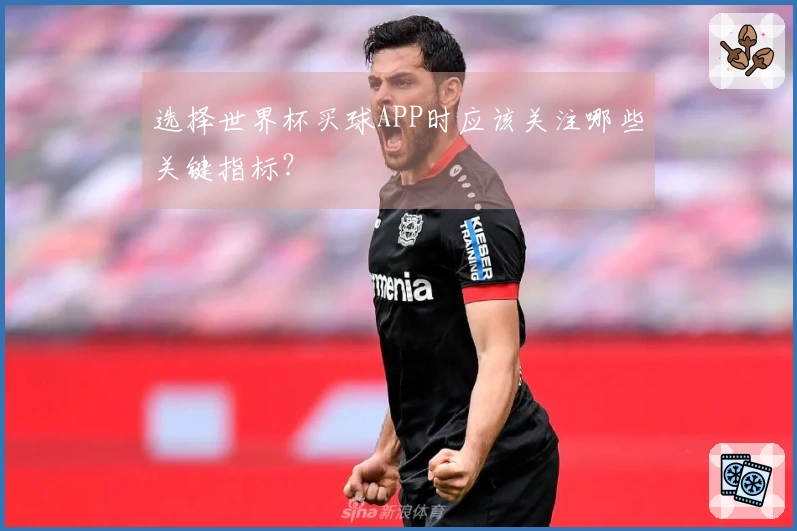 选择世界杯买球APP时应该关注哪些关键指标？