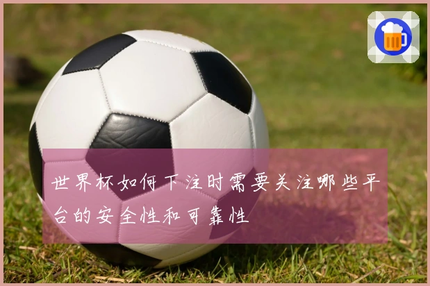 世界杯如何下注时需要关注哪些平台的安全性和可靠性